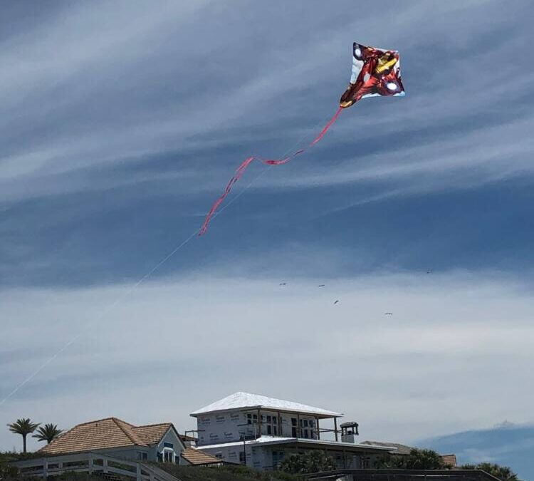 Sun and fun with kites